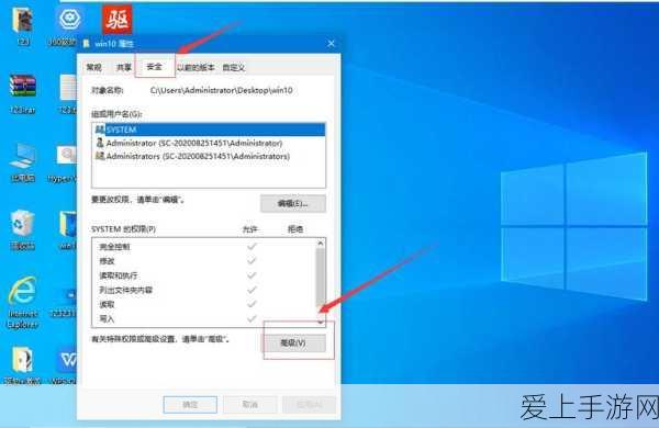 DNF新版本宠物大揭秘，哪些萌宠既强力又有趣？
