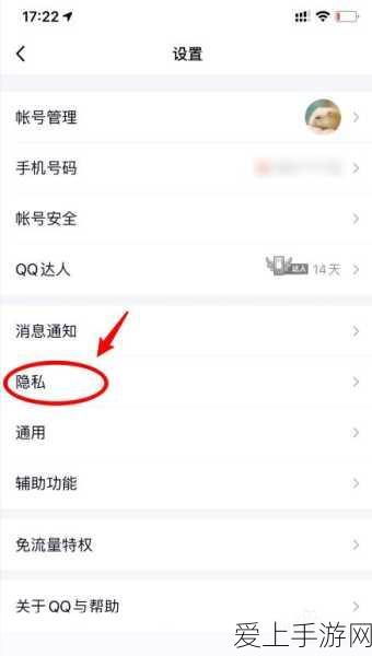 太刀猎人终极荣耀，怪物猎人崛起太刀毕业配装深度解析与实战推荐