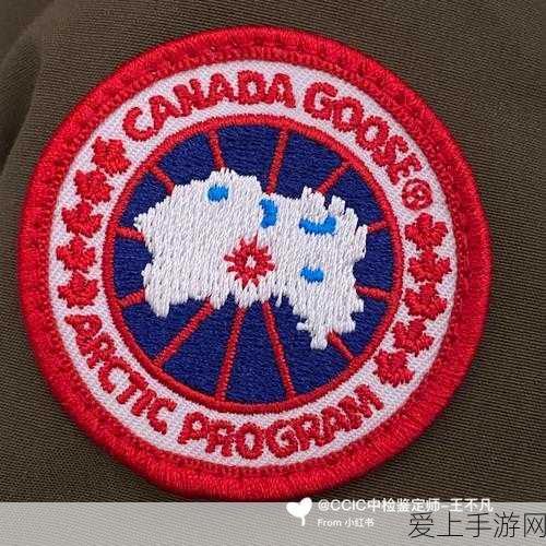 燕云十六声，太极技能获取深度解析与实战攻略