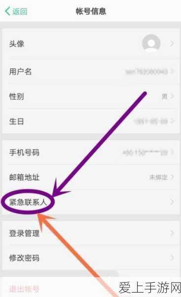 DNF手游暗帝顶尖配置揭秘，左右槽装备选择全攻略