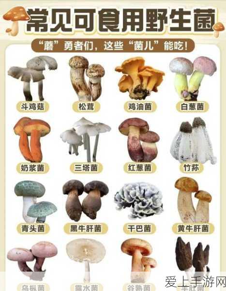 手游硬件新升级！高性价比国产光耦助力游戏设备性能飞跃