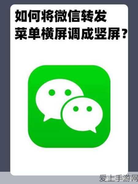 球球大作战，揭秘训练营神秘之地，提升竞技水平的绝佳途径