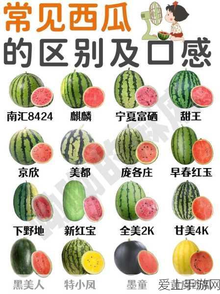 骁龙8至尊版价格屠夫真我GT7 Pro下周首销：3599元起