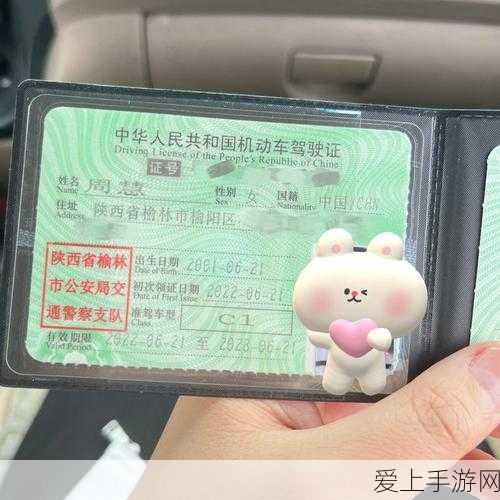 仙境传说RO，稀有冒险者获取全攻略，解锁顶级冒险之旅！