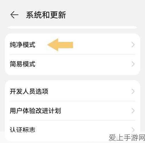 真我GT2Pro王者荣耀120帧极致体验，解锁高帧率模式全攻略