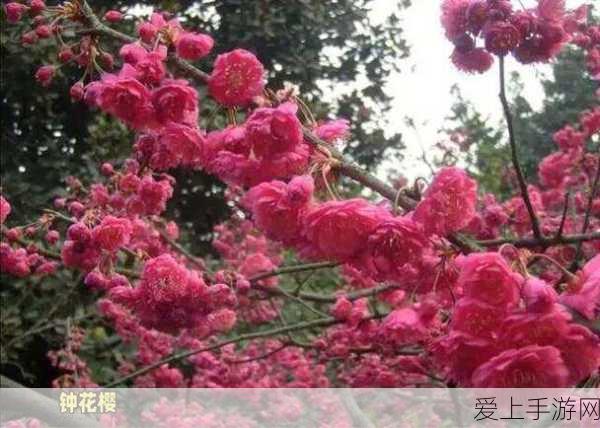 重生细胞攻略，揭秘致命坠落路线完美通关秘籍