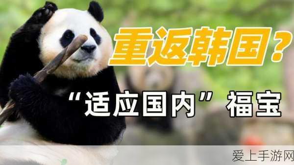 大话西游3装备属性全解析，高手带你玩转装备系统