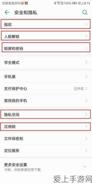心动小镇沙滩乐园第 16 天，茶色鸭子神秘现身之处大揭秘