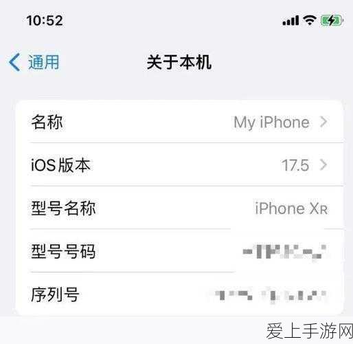 心动小镇沙滩乐园第 16 天，茶色鸭子神秘现身之处大揭秘