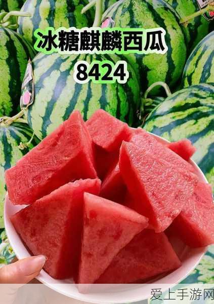 火影忍者手游，角都连招搭配与竞技实战深度解析