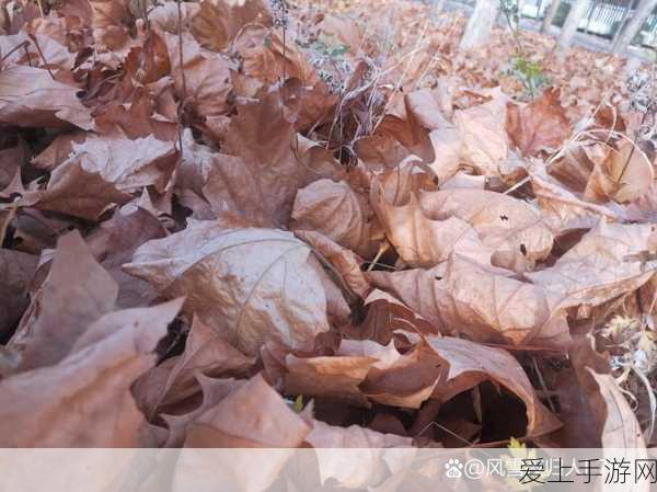 天涯明月刀手游，全面解锁功力提升秘籍，登顶武林不再是梦！