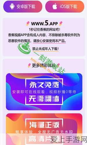 海岛奇兵国服VS国际服，哪个战场更适合你？深度解析与选择指南