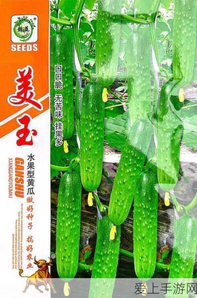 塞尔达传说，揭秘四座神秘寺庙的精确位置与探险攻略