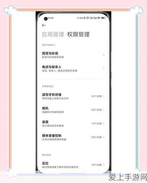 宠物王国深度攻略，解锁宠物养成与竞技的终极秘籍