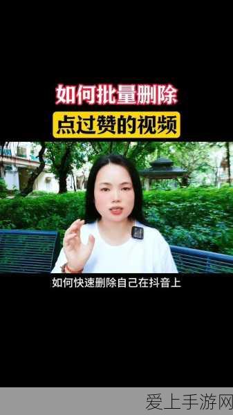 王者荣耀周年庆，揭秘皮肤返场投票策略，助你心仪之选登顶！