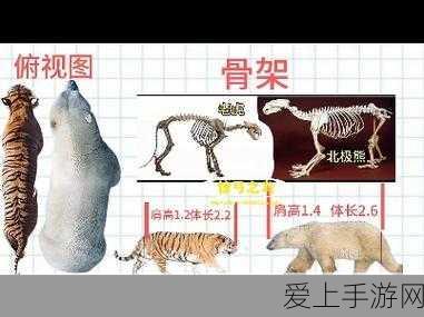 手游界盛事！思普软件2024用户大会揭秘手游连接新生态
