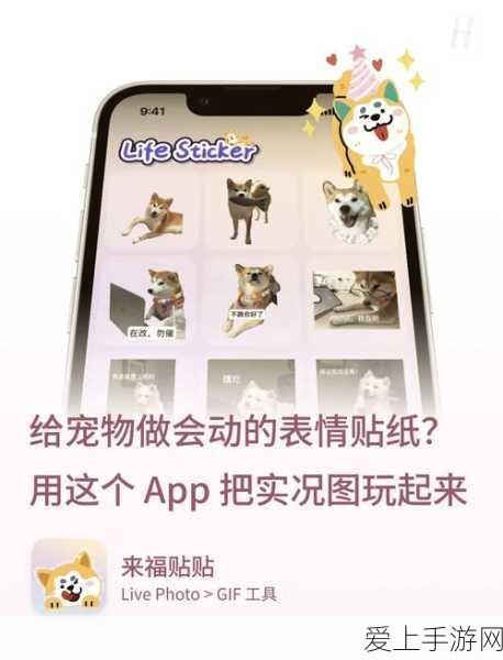 白荆回廊十手卫玩法深度揭秘与全攻略