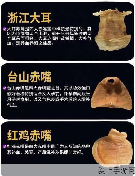 大话西游手游，体力技能双管齐下，揭秘高效升级攻略，让你的战力一飞冲天！