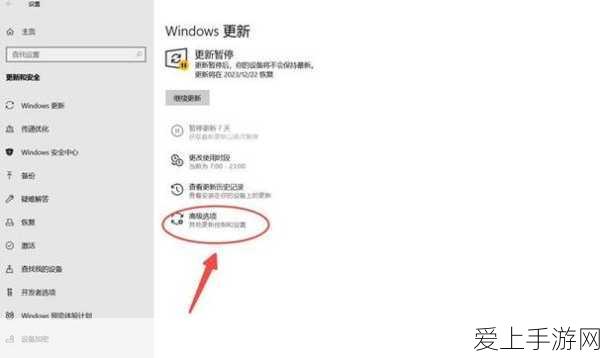 金铲铲之战，揭秘三星凯尔登神速度，实战技巧与数据分析