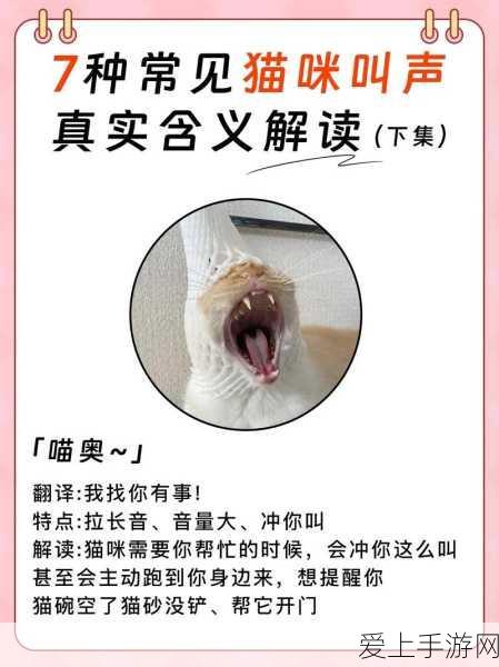 晶核诡术士技能搭配全攻略，解锁战斗新境界