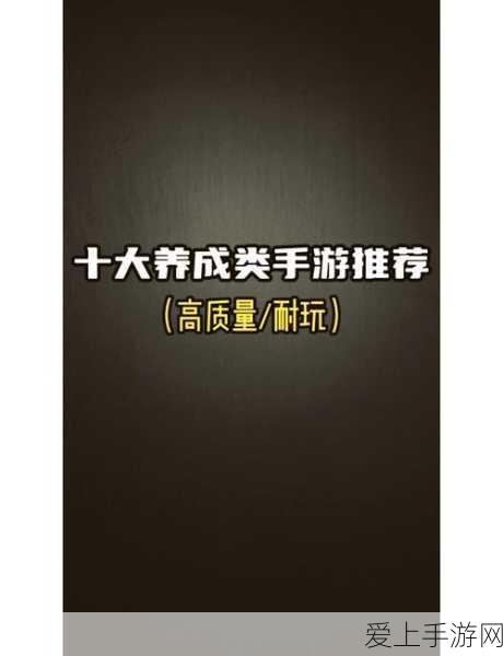阴阳师缘说物语，顶尖阵容搭配秘籍，解锁SSR级战斗组合称霸竞技场！