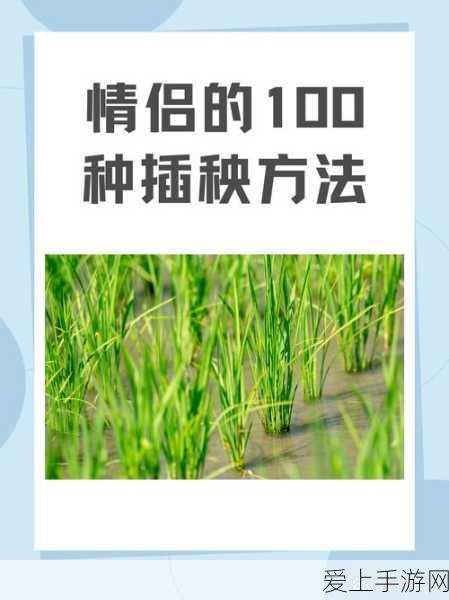 哈利波特魔法觉醒，一键切换账号秘籍，畅游双魔法世界的终极攻略