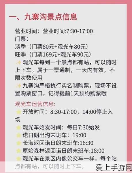SSR夏洛蒂，雷索纳斯中的全能女王，深度解析与培养价值揭秘