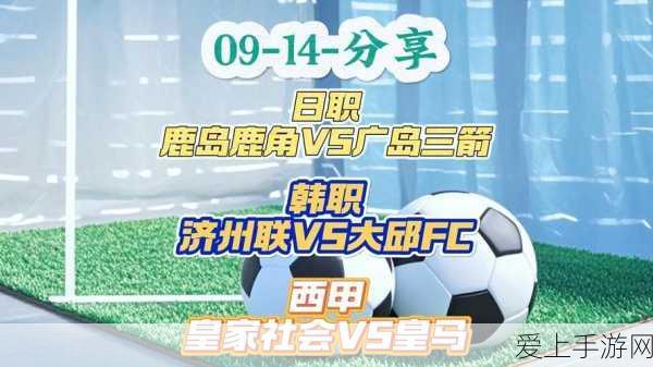 SSR夏洛蒂，雷索纳斯中的全能女王，深度解析与培养价值揭秘