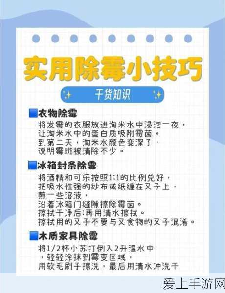 深度揭秘，金铲铲之战中执事辛德拉阵容的制胜策略与实战技巧