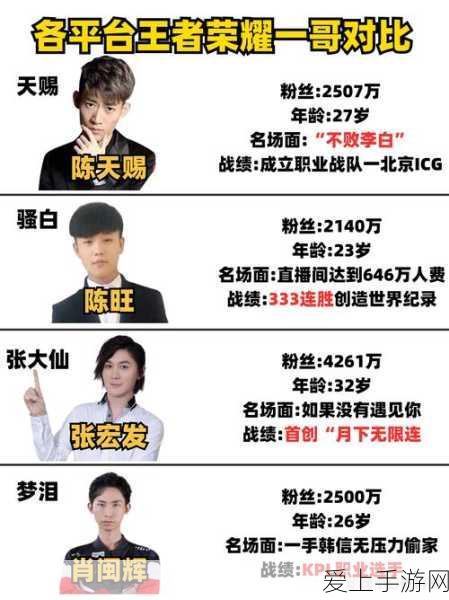 奥比岛手游，全面解析恢复体力道具的购买攻略