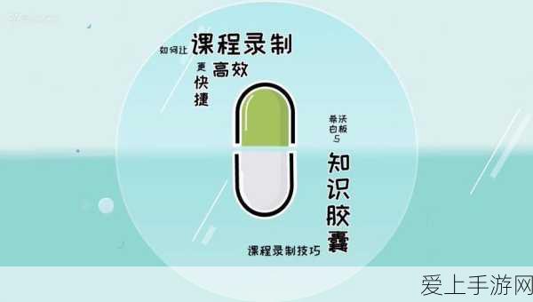 火影忍者手游，杜门李决斗场深度对决，实战技巧与初体验揭秘