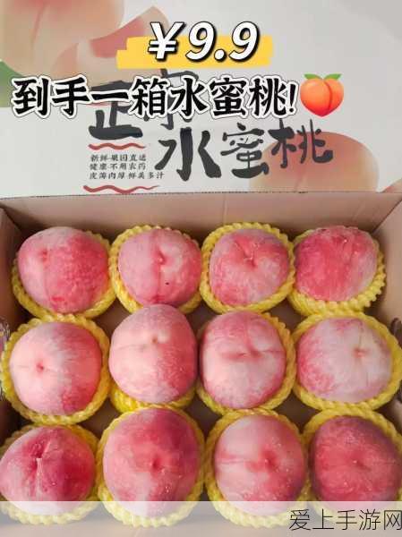 庆余年手游，掌握灵宝选择秘籍，称霸江湖