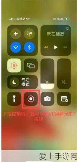 咸鱼之王2024元旦庆典，豪礼相送，消耗活动全攻略