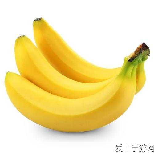 蛋仔吾皇猫保底揭秘，稀有宠物抽取攻略与赛事亮点