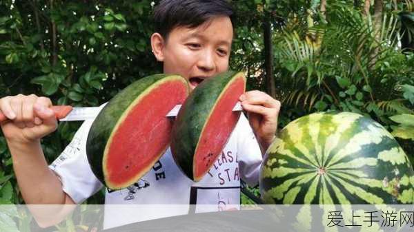 蛋仔吾皇猫保底揭秘，稀有宠物抽取攻略与赛事亮点