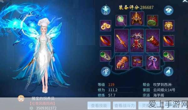 王者荣耀深度解析，草丛之眼——透视对手的战术利器