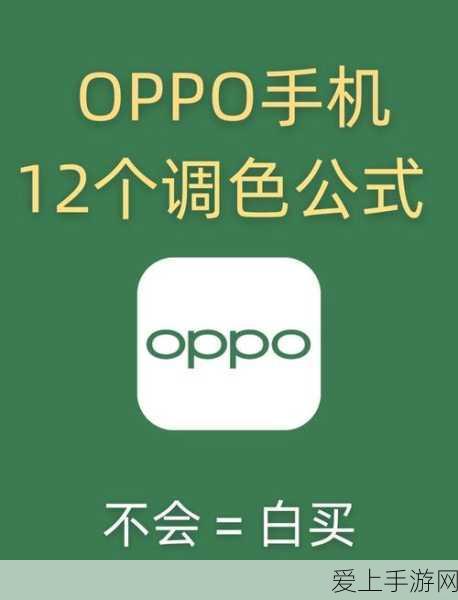 探秘，酒品松谬的神秘获取之道