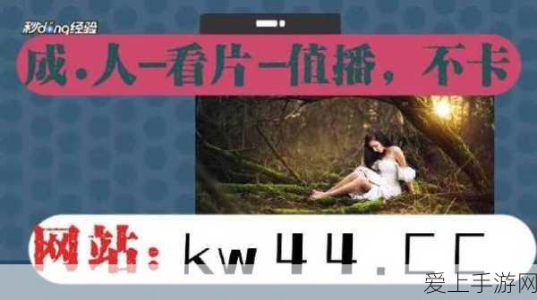 探秘，酒品松谬的神秘获取之道