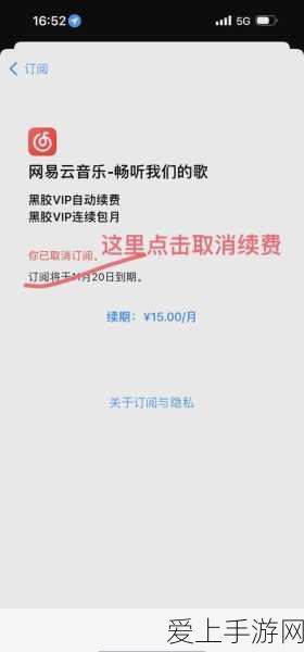 哈利波特魔法觉醒，抽卡秘籍大公开，精准召唤你的专属魔杖！