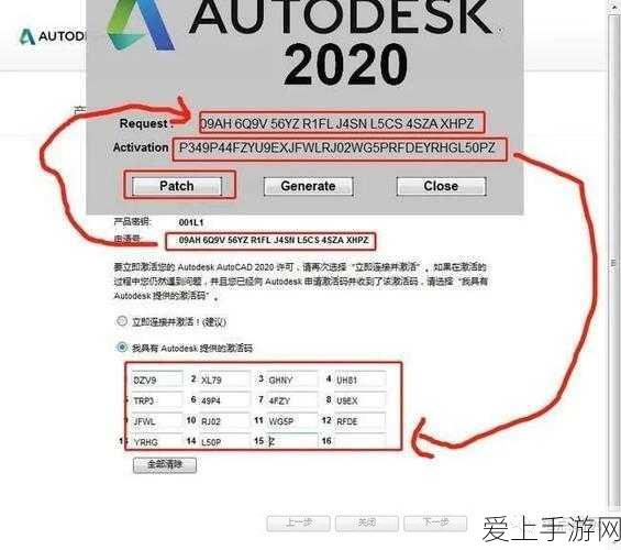 绝地求生全军出击，性别选择背后的策略与影响