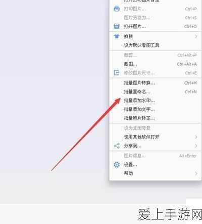 决胜巅峰，普罗迪角色玩法全解析与致胜攻略秘籍