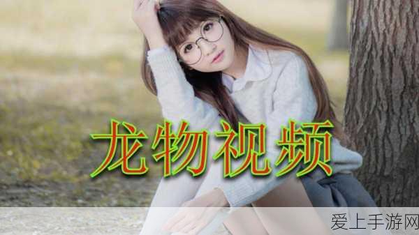 原神须弥隐藏成就问题的转化高效完成攻略，解锁谜题，探索智慧之国的秘密