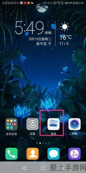 第五人格，雪可爱的神秘状况引发热议