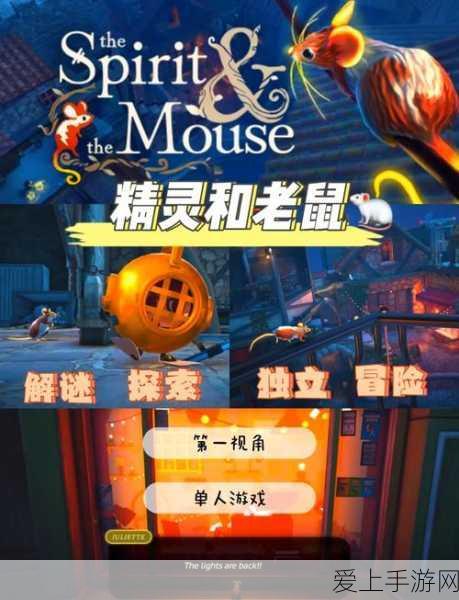 航海王燃烧意志，青雉加点攻略大揭秘，打造无敌冰冻强者！