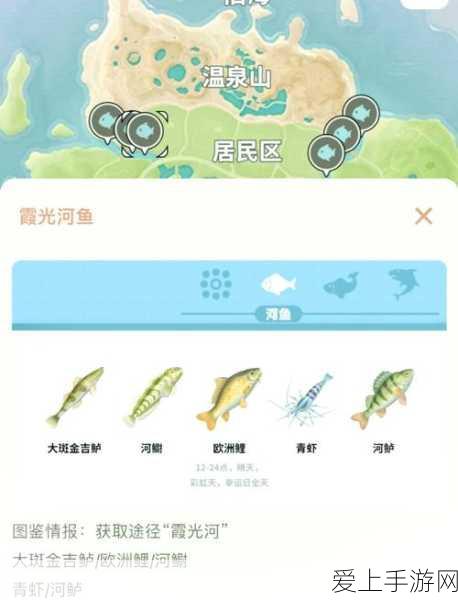 天玑8000 Max挑战原神，性能实测与游戏表现深度解析