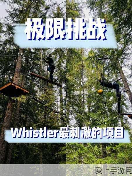 拼多多Q3财报亮点，营收破九百亿增44%，市场反应却意外大跌超12%