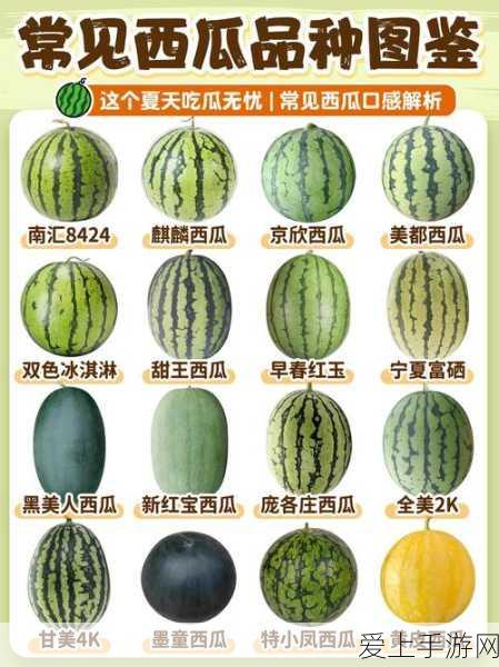 手游硬件新突破！Microchip助力电动汽车充电器设计，未来游戏体验再升级？