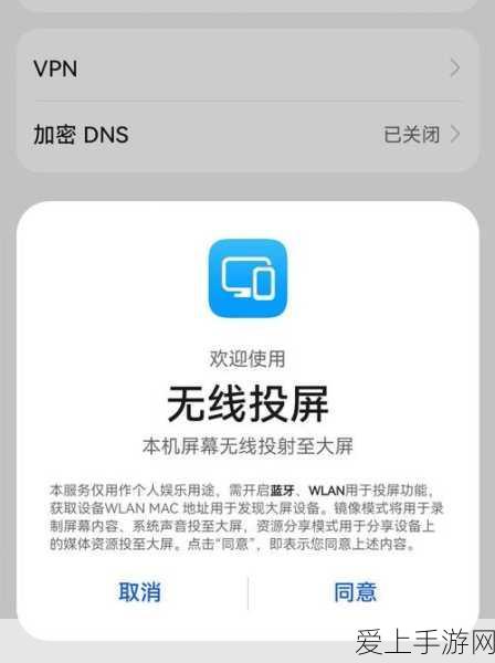 航海王壮志雄心，里奇船长的致胜秘籍