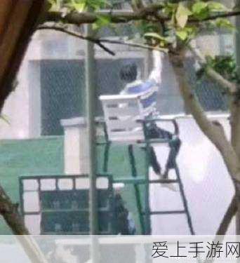 少年三国志2，后期顶尖阵营深度剖析与策略指南