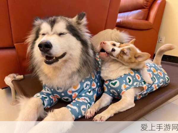 富士康与Porotech强强联手，打造手游硬件新纪元